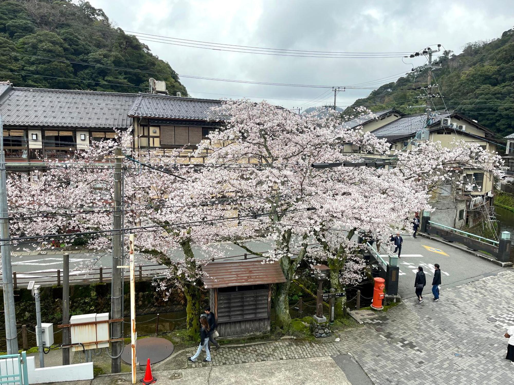 城崎温泉一棟貸し　旅宿yadokari 토욧카 외부 사진