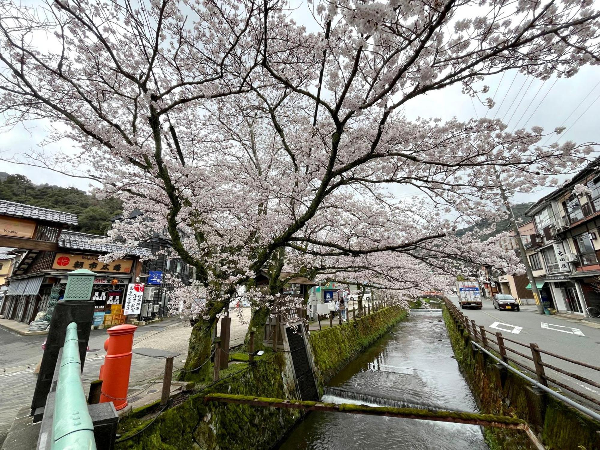 城崎温泉一棟貸し　旅宿yadokari 토욧카 외부 사진